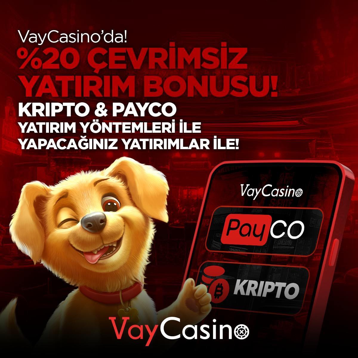 Derinlemesine Vaycasino Türkiye Online Kumarhanesi